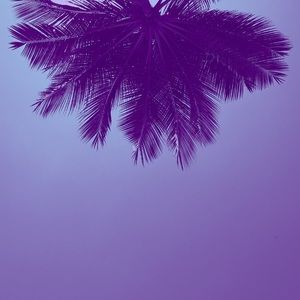 Meet your Posher, Mb